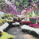 아산코미디홀쇼타임 까페 이미지