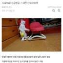 단또 이미지