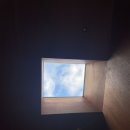 프로퍼밀도 이미지