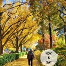 blue yellow house 이미지