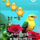 좋은 사람 하나쯤은 가슴속에 담아두고 살자 이미지