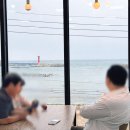 주야대게