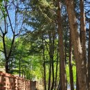 감천리카페 이미지