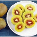 스타일치과의원 이미지