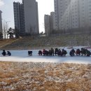 행복한동행 경산제1태권도장 이미지