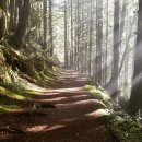 자연과 함께하는 하룻밤 이미지