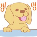 커브스오금클럽 이미지