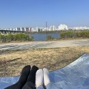 씨유 개화점 | 2026 서울 벚꽃 축제 명소 여의도 윤중로 벚꽃길/ 한강공원 실시간 개화상황 개화시기 후기