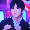 왈라 Daum카페