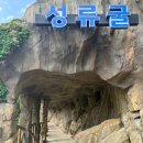 GR(울진군)-[성류굴로]-상-2 | 울진 가볼만한곳 성류굴 시원한 동굴 관람 후기 주차 정보