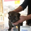 진건중길 이미지