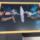 비비전자 이미지