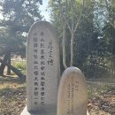 겨울여행 화순 ⑧ 김삿갓종명지 ❷ 이미지