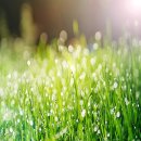 경한의원 이미지