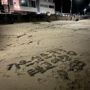 D00661 | 동해 어쩌다어달 오션뷰숙소 303호 솔직후기 태교여행 만삭사진 일출맛집 어달해변