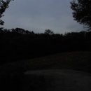 휘명동산약국 | 김선일한국화화실 2016 영천 휘명동산 가을 스케치01