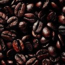 [진로탐색] 커피바리스타 이미지