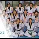 조례태권도장 이미지