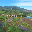 동읍860 이미지