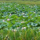 김영농장 이미지