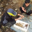 용리농장 이미지