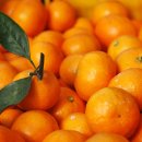 주화농장 이미지