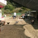 오천농장 이미지