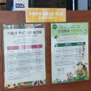 여우피시 | [서울 여행] 영등포 주렁주렁 20개월 5개월 아기랑 다녀온 실내 동물원 찐 후기