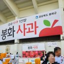 [두산베어스] 250429 두산베어스 VS KT위즈