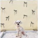 포블포블 이미지