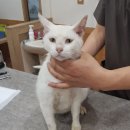 논산대로 이미지