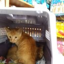 이성준동물병원 이미지