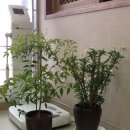 김재연한의원 이미지