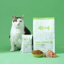 본아페티 이미지