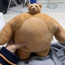 허스테이 이미지