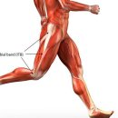 당산정형외과의원 이미지