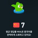 중국어 첫단계 | 전화중국어 랭디 후기: 내돈내산 🇨🇳🇰🇷