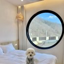 보느몽뜨 이미지