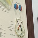 레몬트리 안경콘택트 이미지