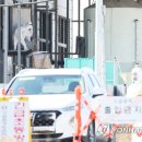 중인농장 이미지