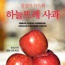 롯데마트 제천점