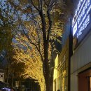 선릉역네일 도쿄네일 후기: 겨울 시럽네일 받기 딱 좋은 곳