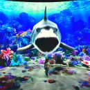 주)용평리조트 피크아일랜드 이미지