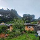 가평 시골집 | 가평 설악 야옹이네. 독채 시골집(지락이의 뛰뛰빵빵) 내돈내산 솔직후기! (feat. 몸빼입고 촌캉스&gt;&lt;)