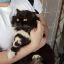 Grandma'stay 이미지