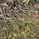 기운농장 이미지