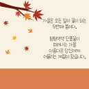 인사말 이미지 / 비요일 - 오늘도 안부전합니다. 이미지