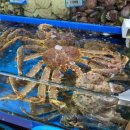 대신수산 이미지