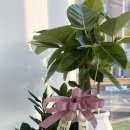 러비도기 이미지