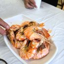 보성 | 보성 해비치 게장 &amp; 티하우스 방문후기